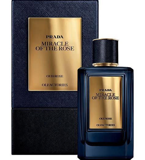 prada oud perfume